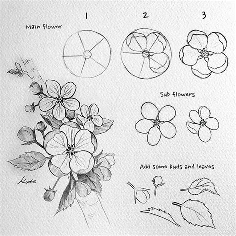 pencil drawings of flowers step by step